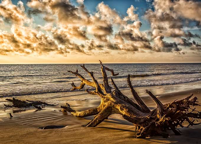 Driftwood Beach Jekyl