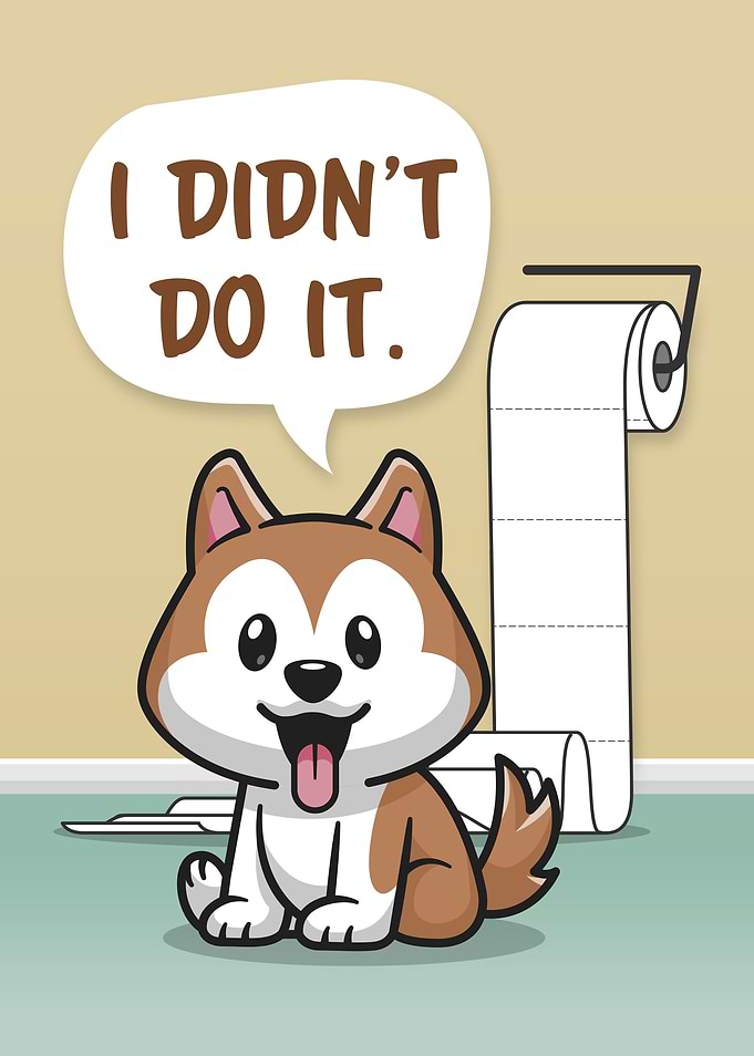 Funny Messy Dog Bathroom 1