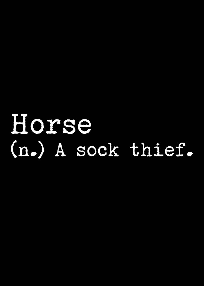 Horse A Sock Thief