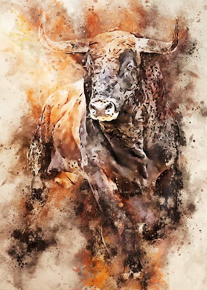 Bison Splatter