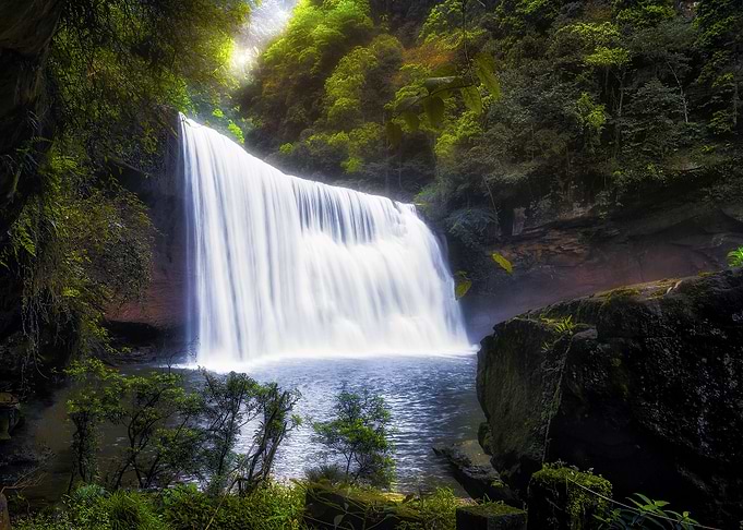 Waterfall in Forest Nature