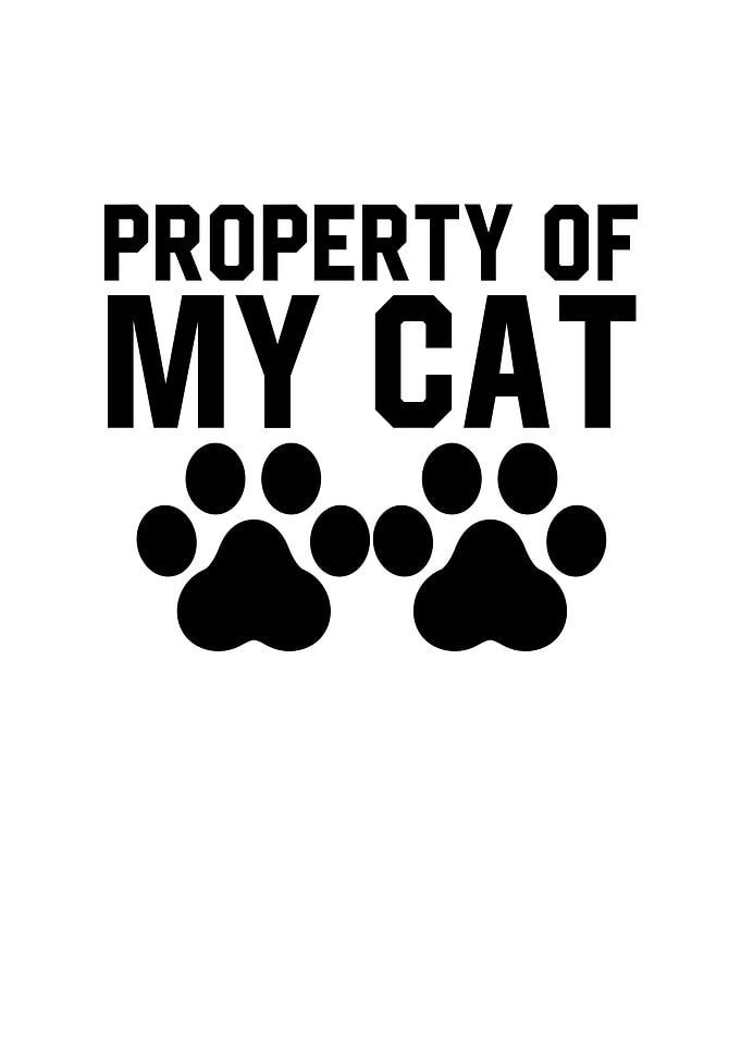 Property Of My Cat
