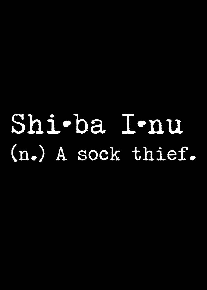 Shiba Inu A Sock Thief