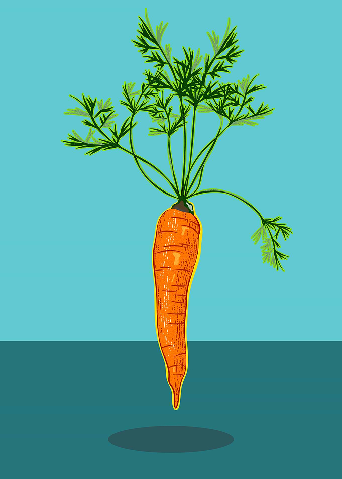 Carrot Levitating