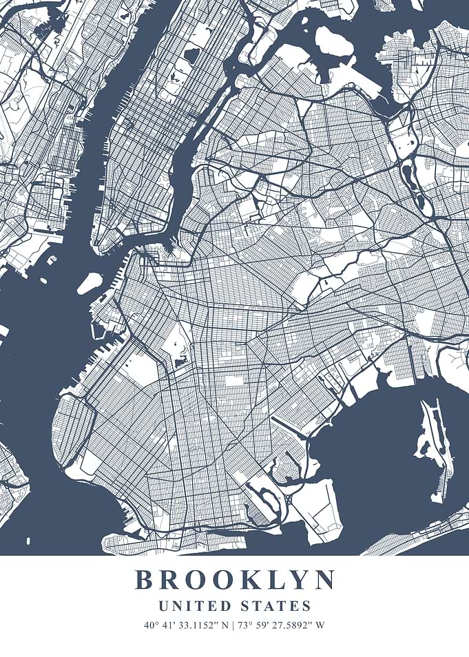 Brooklyn Ash Plane Map