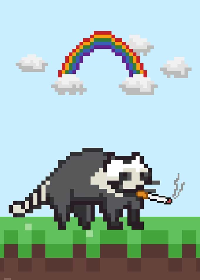 Racoon Break