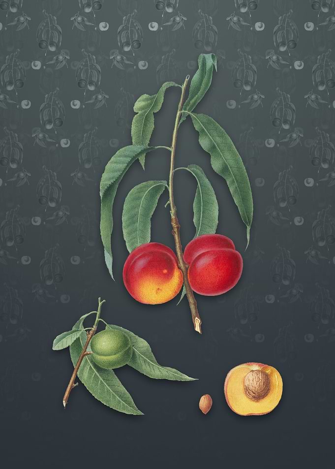Vintage Walnut Peach