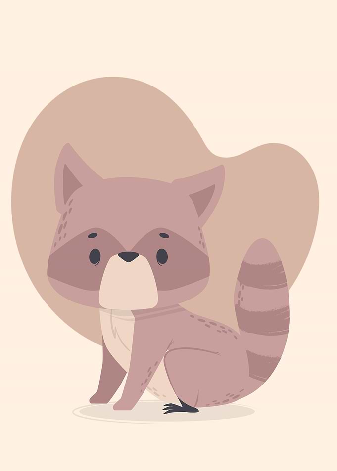 Mr Racoon