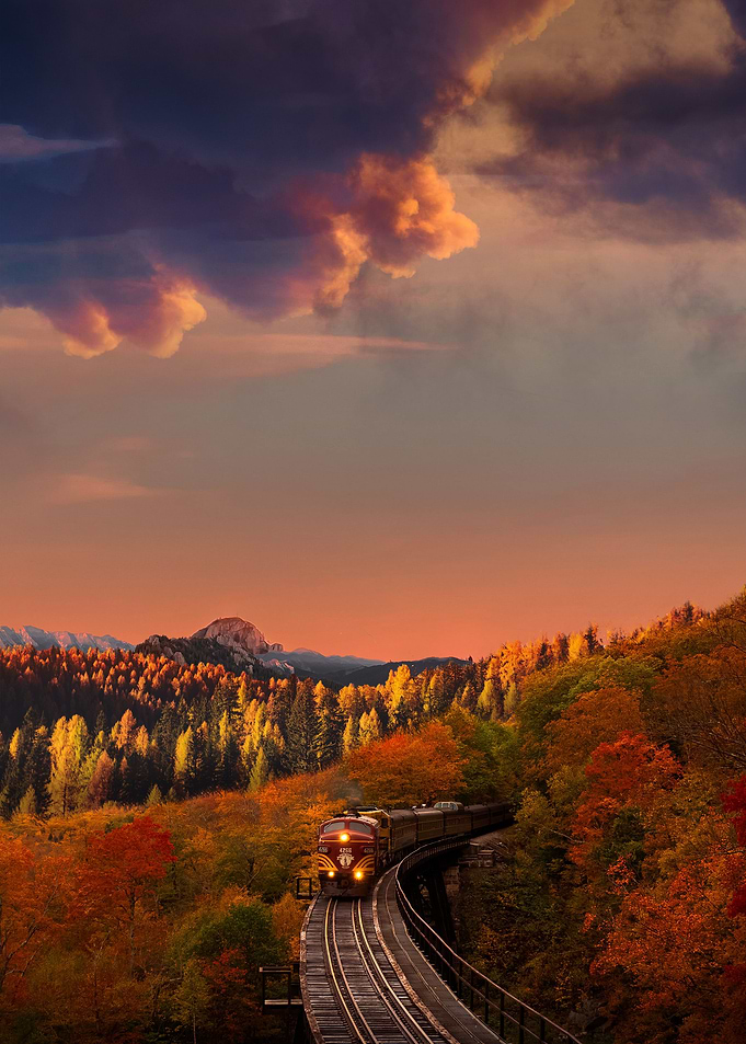 Autumn Train