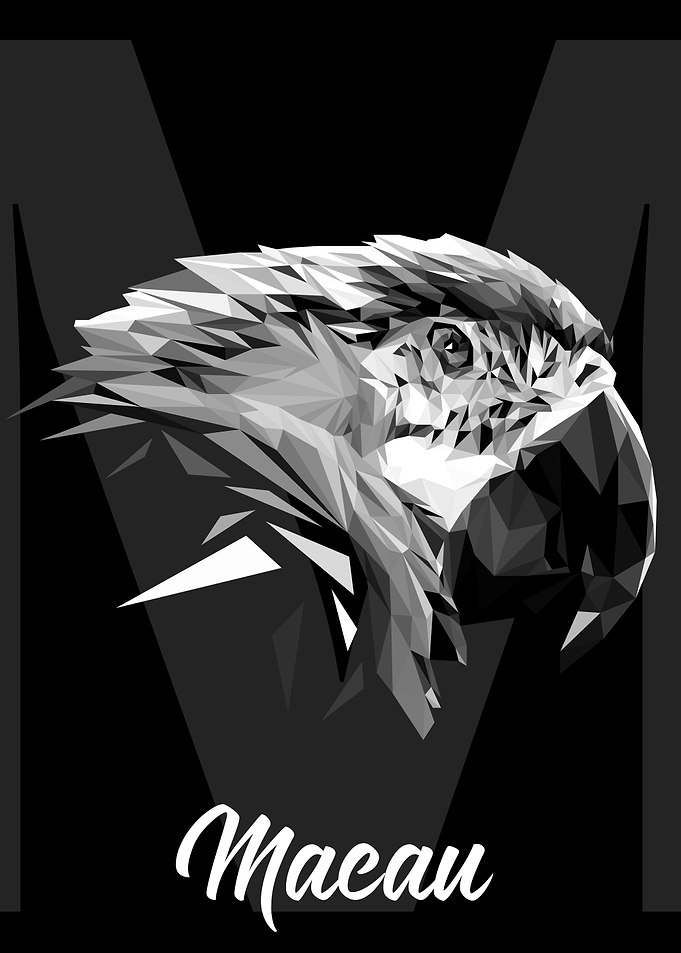 Macaw Parrot