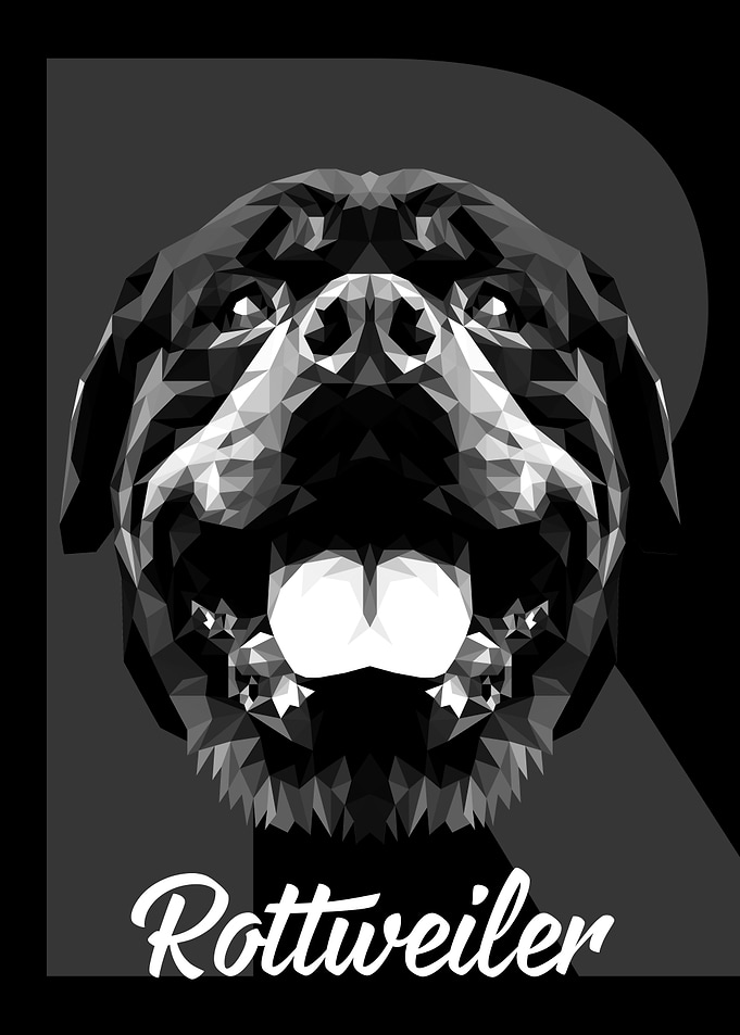 Rottweiler Dog