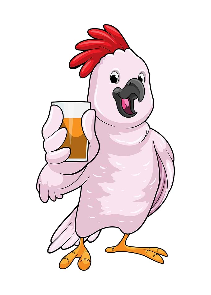 Parrot Orange juice
