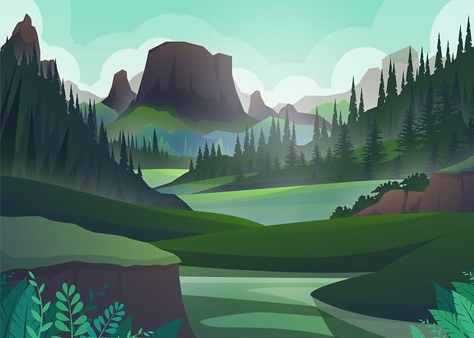 Meadow in the Forest