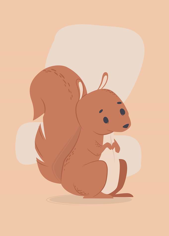 Mr Squirrel