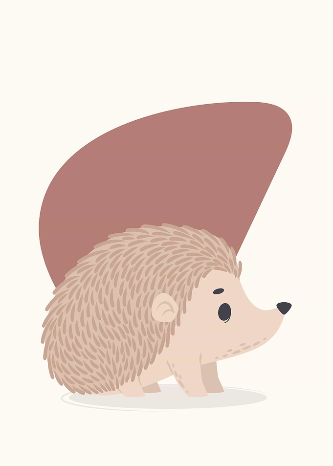 Mr Hedgehog