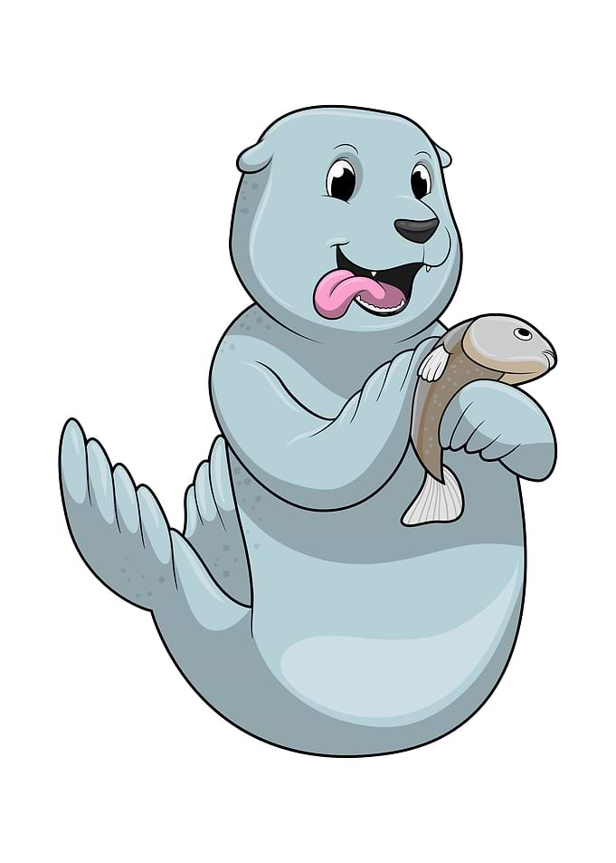 Seal Fish