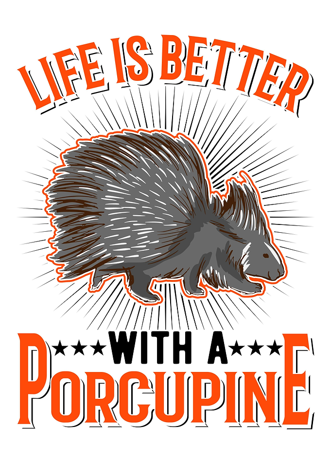 Porcupine Gift