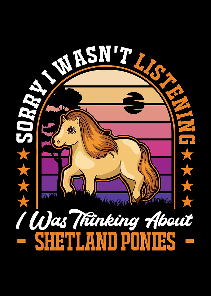 Shetland Pony Shetty