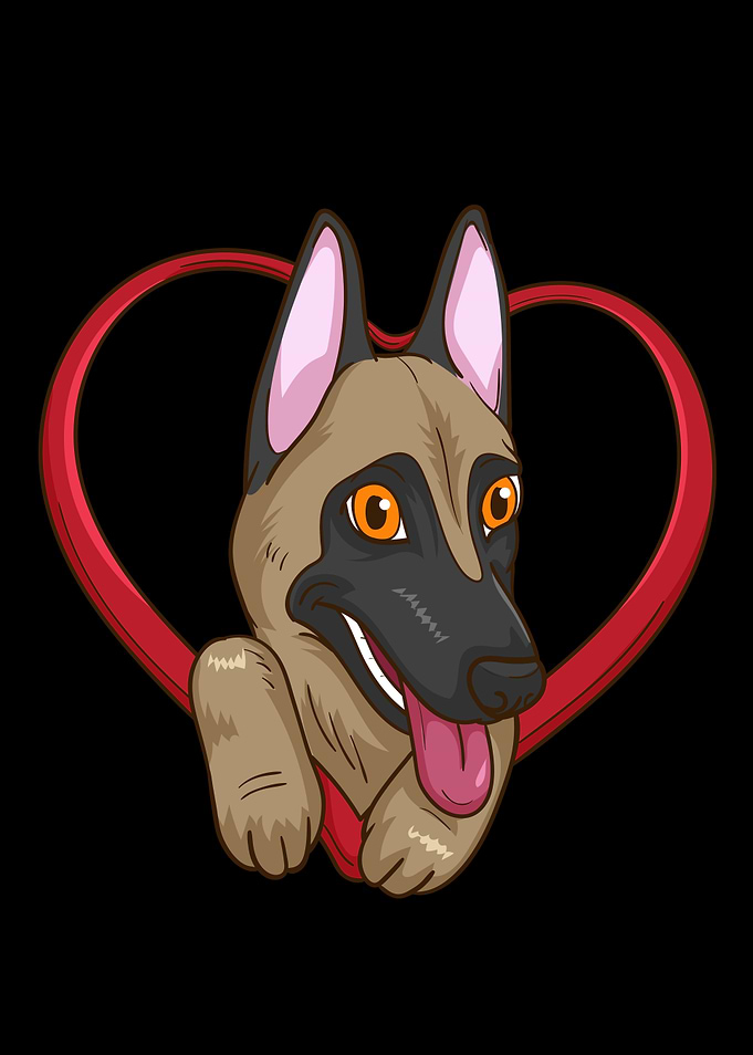 Belgian Shepherd Malinois