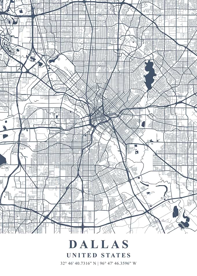 Dallas Ash Plane Map