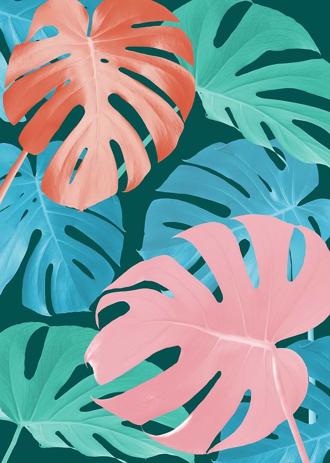 Minimalist floral 64