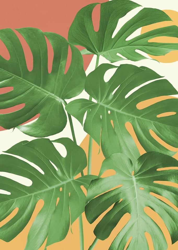 Minimalist floral 70