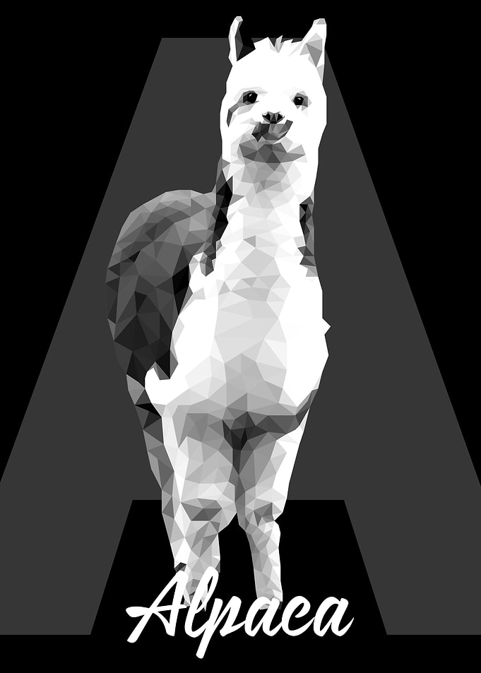 Alpaca