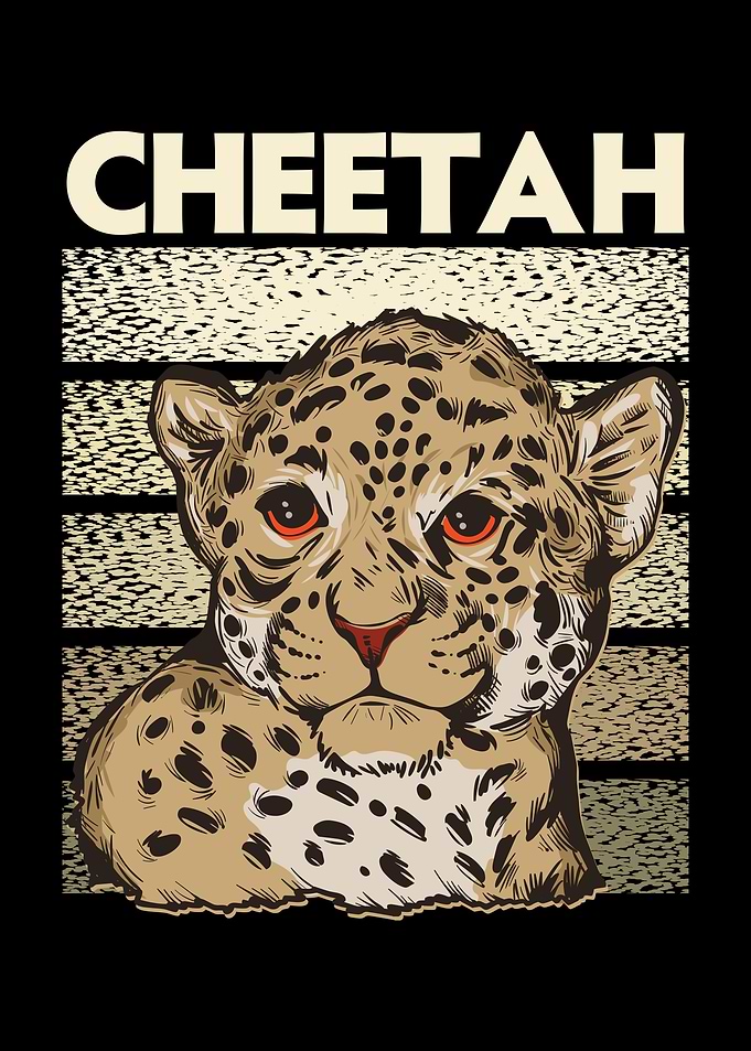 Cheetah Wildlife Animal