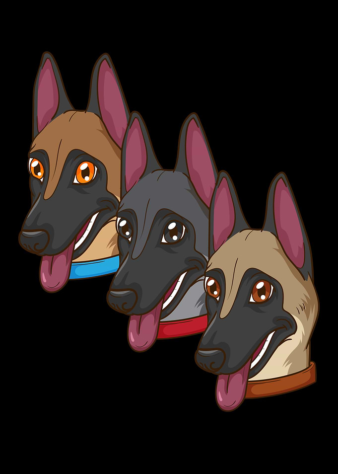 Belgian Shepherd Dog Gift