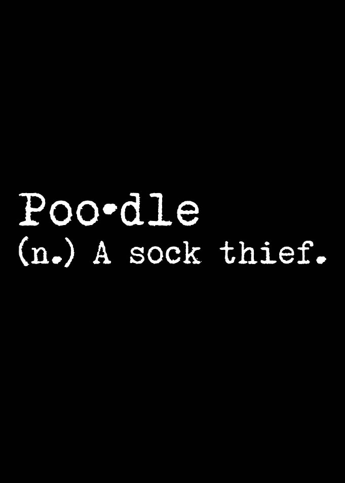 Poodle A Sock Thief