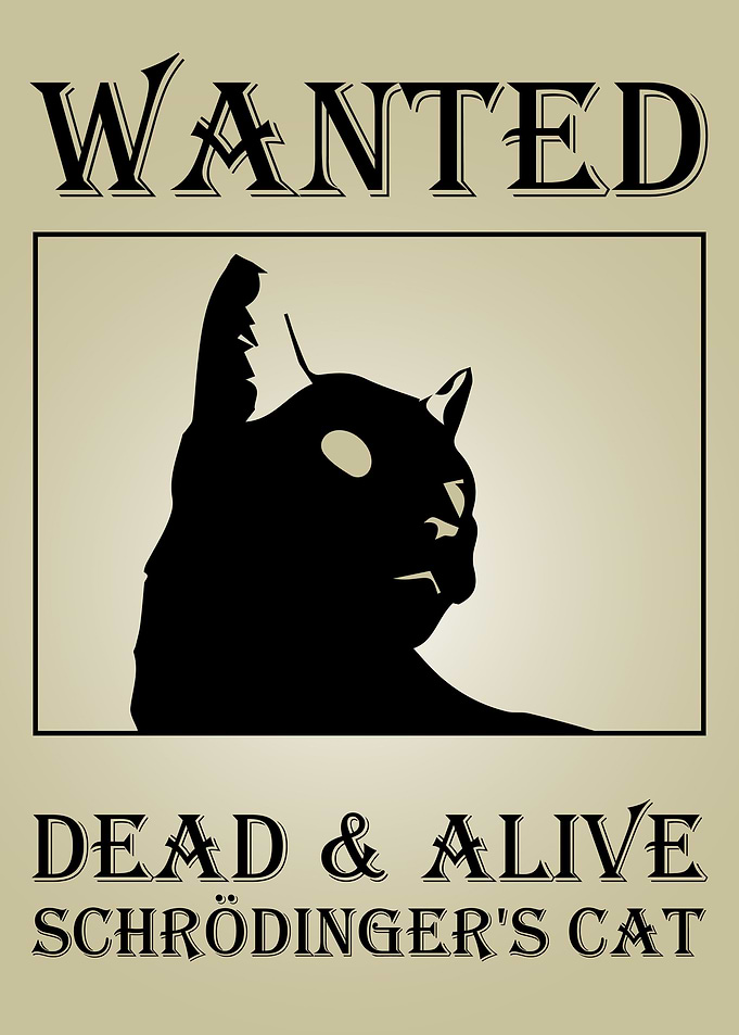 schrdingers cat wanted