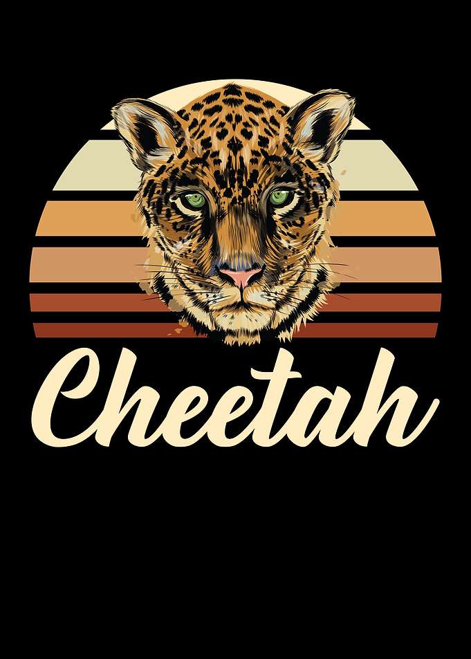 Cheetah Wildlife Animal