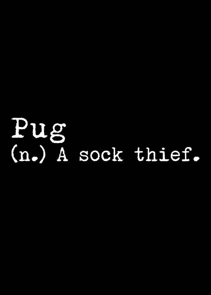 Pug A Sock Thief