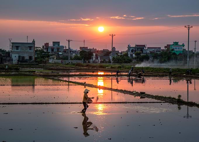 Sowing seeds at sunset