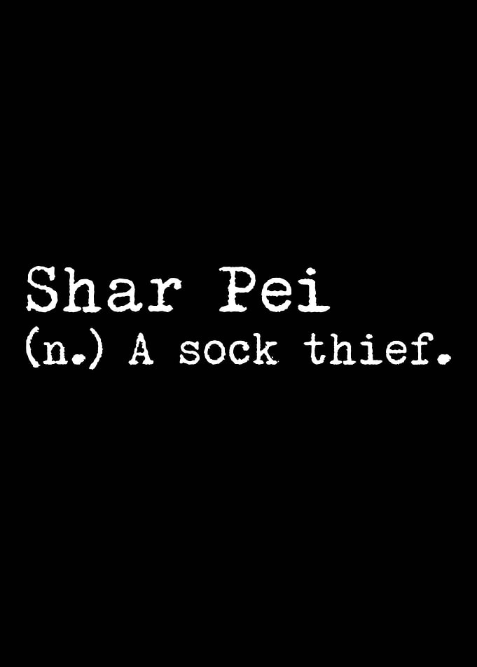 Shar Pei A Sock Thief