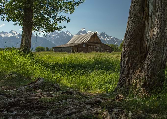 Abandoned in Nature