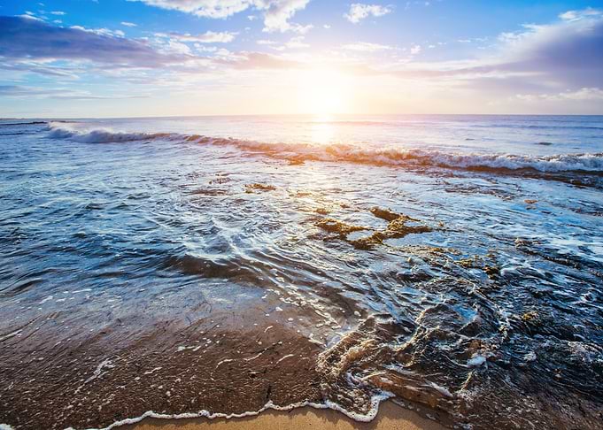 Beach Sunset Nature