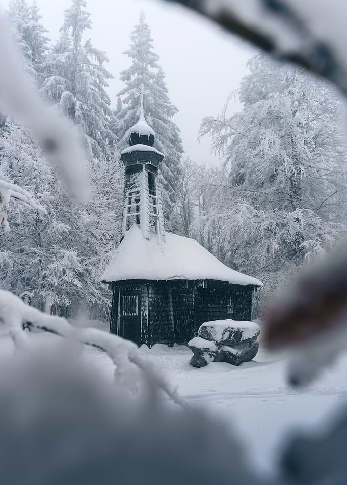 Winter Wonderland