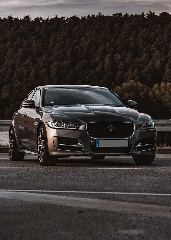 Jaguar Photography