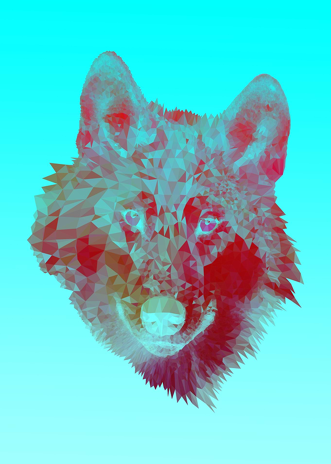 wolf