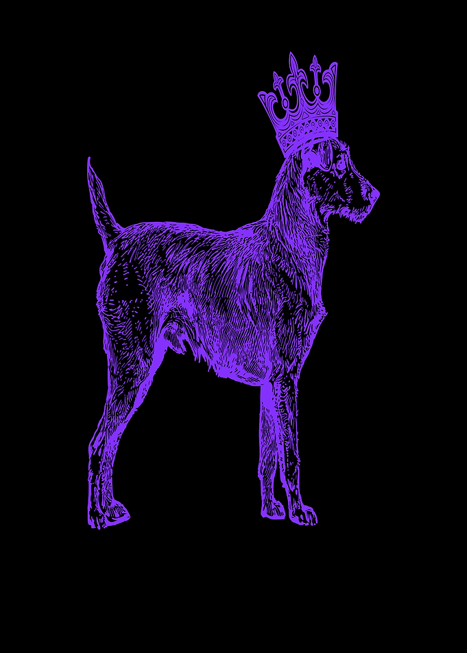 Dog king