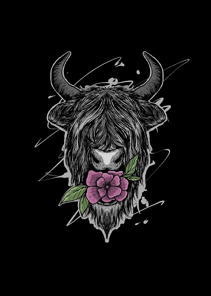 Scottish Highland Cow