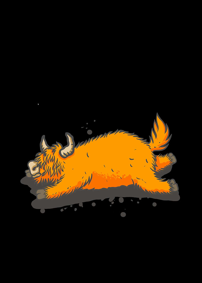 Scottish Highland Cow