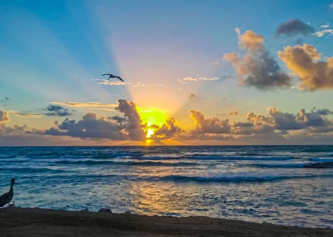 Beach Sunset Nature