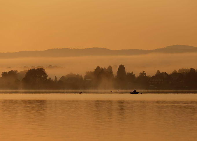 Misty morning on the lake