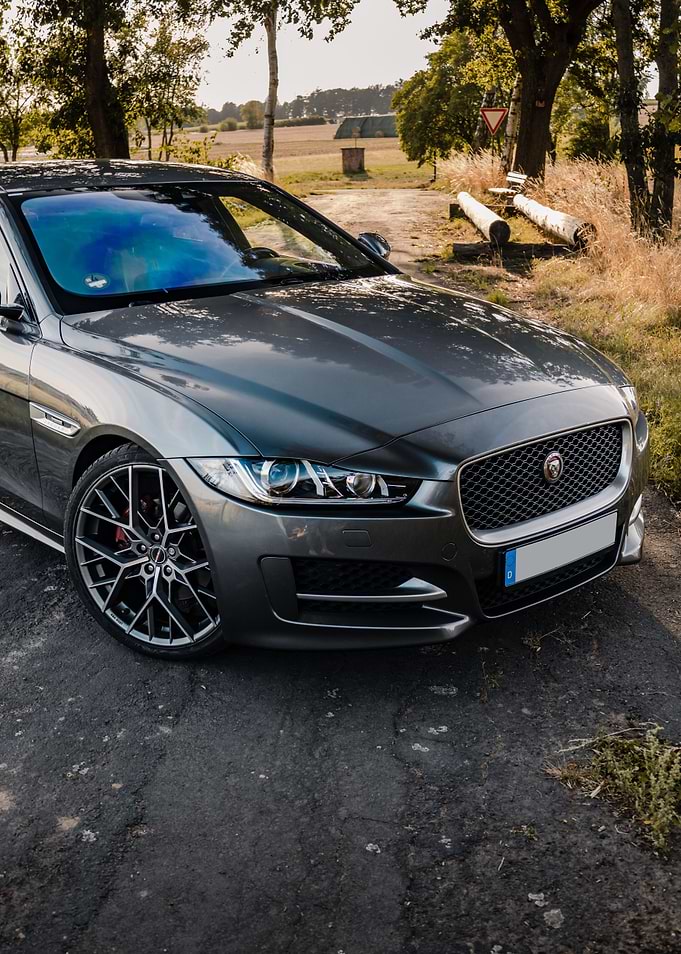 Jaguar Photography