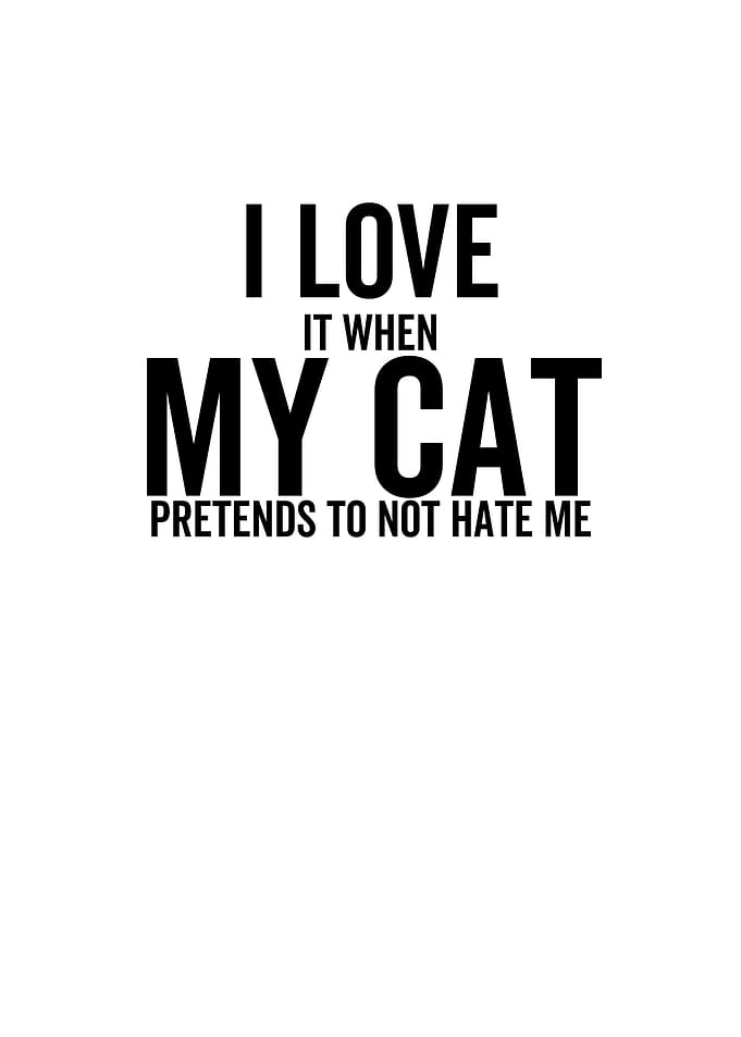 I Love It When My Cat