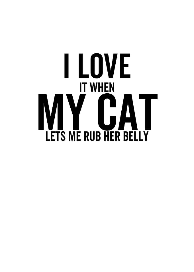 I Love It When My Cat Lets