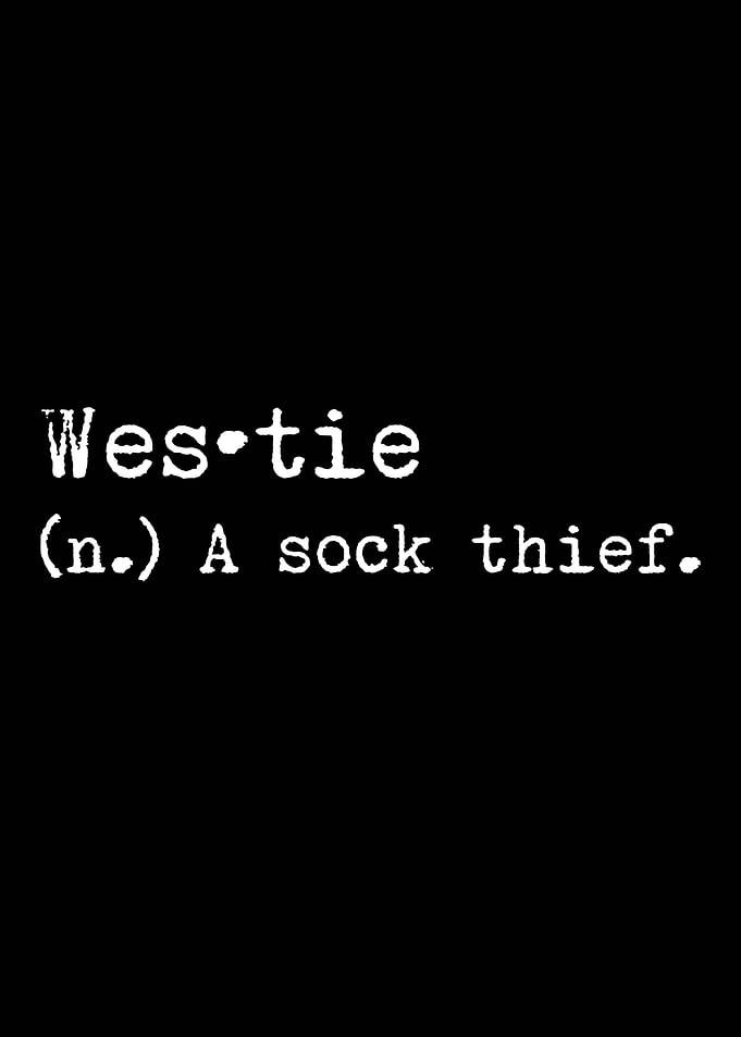 Westie A Sock Thief