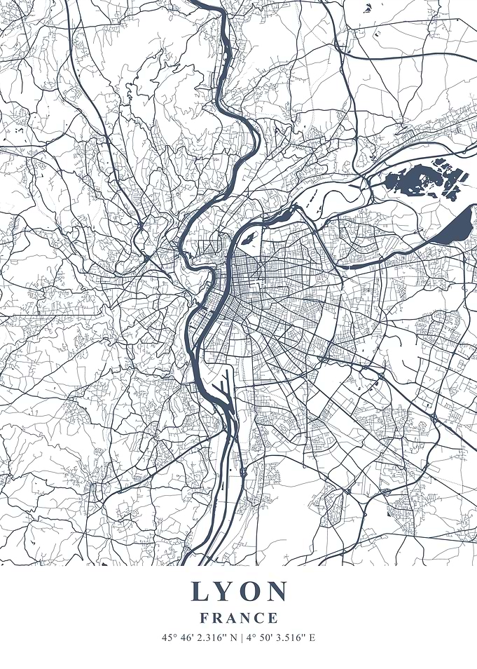 Lyon Ash Plane Map